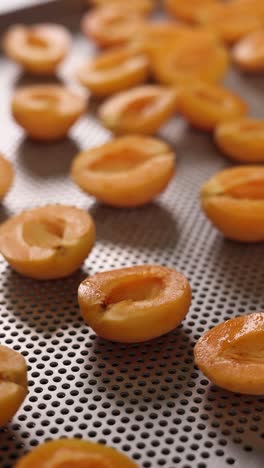 halved apricots on a perforated tray