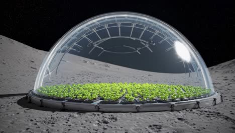 plants growing inside a geodetic dome on the moon surface, space colonization and agriculture concept, lunar landscape in the background with starry sky