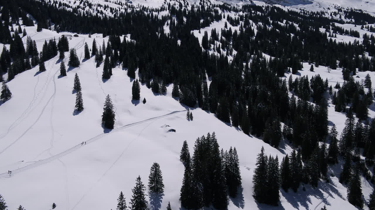 Fly over trees and you have a beautiful view to the snow.You see some people doing winter sports