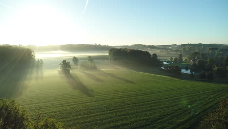 amanecer brumoso sobre el campo