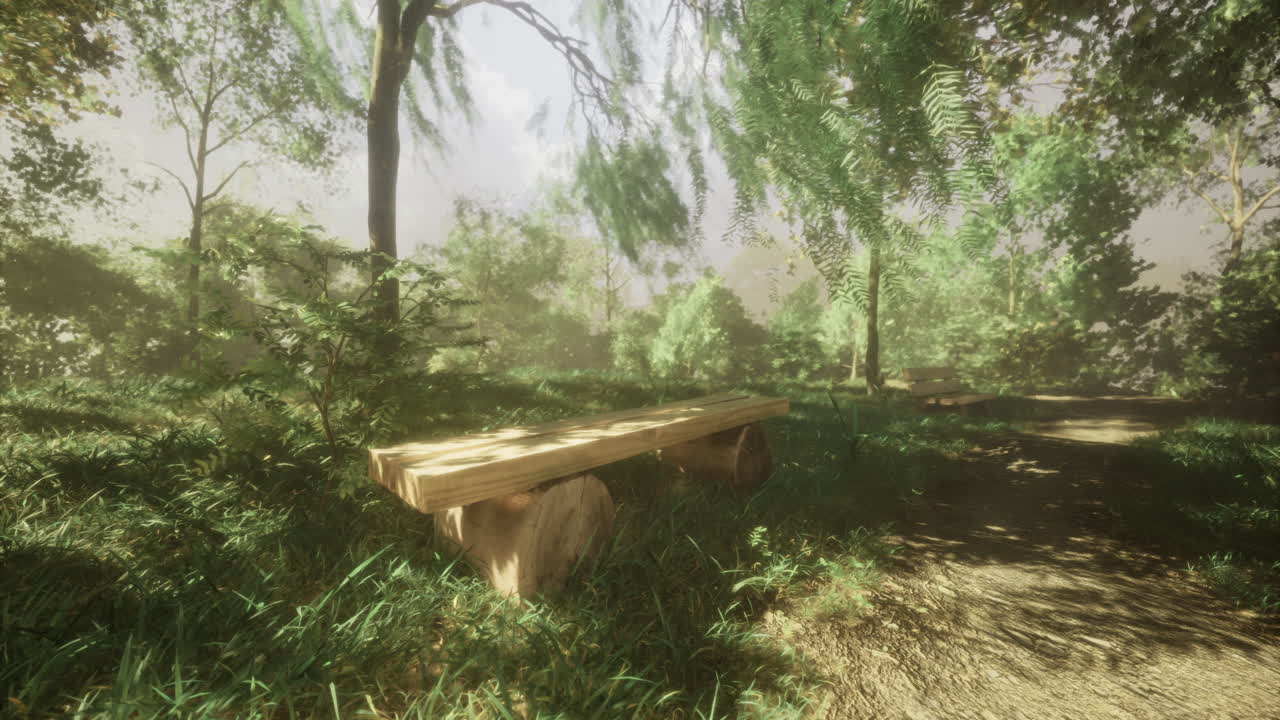 Serene park setting with wooden benches and lush greenery