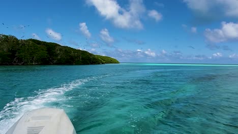 Segeln-Sie-Auf-Blauem-Wasser-Mit-Dem-Motorboot,-Das-Die-Mangroveninsel,-Den-Nationalpark-Los-Roque,-Davonläuft