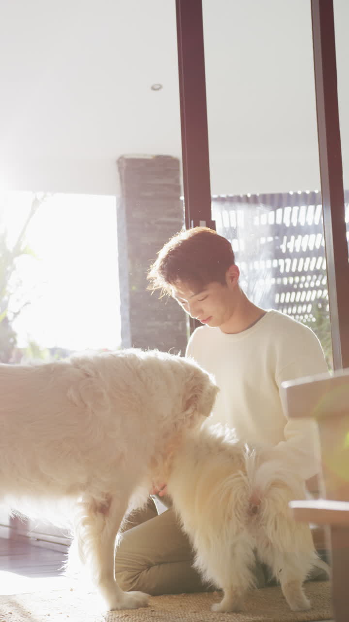 아시안 남성 십대가 거실에서 개를 만지는 수직 비디오