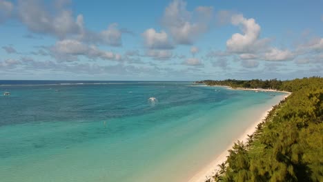 una vista aérea de una playa, bajando el dron hacia los árboles