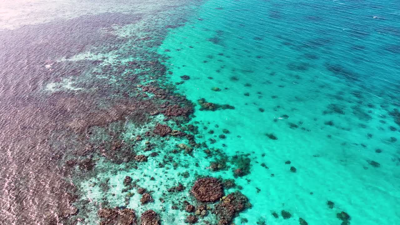 Vibrant Coral Reef In The Shallow Waters Of The Philppines