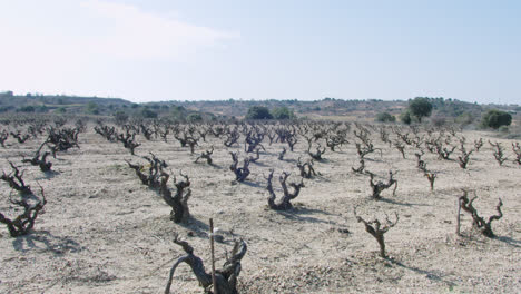 prise de vue au ralenti d'un ouvrier du vignoble à l'extérieur d'une usine de vin à burgos, en espagne, le matin.