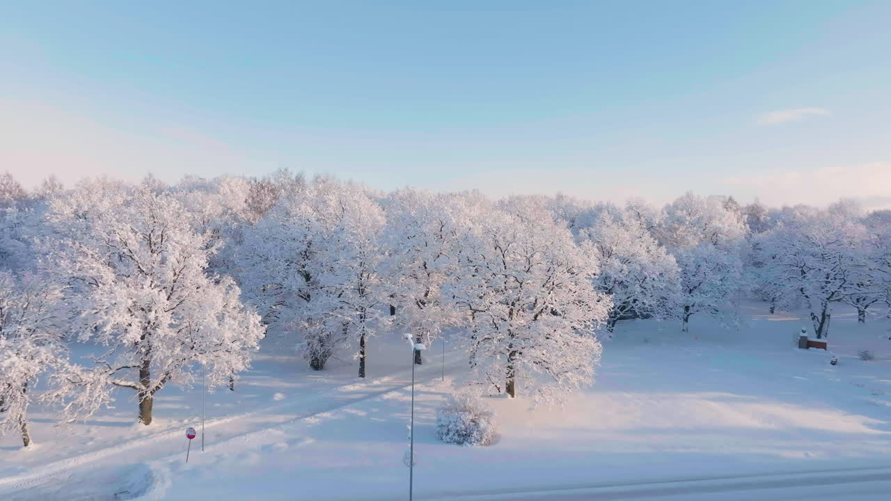 雪の積もった家々、田舎の通り、霜の降りた田園地帯の森林を上空から見た眺め、晴れた日