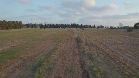 Los-Campos-De-Trigo-De-La-Escuela-Agrícola-Mikveh-Israel-Cerca-De-Holon---Vista-Aérea-De-Baja-Altitud