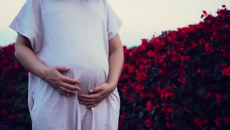 Mujer-Embarazada-Feliz-Y-Esperando-Un-Bebé-En-Casa.