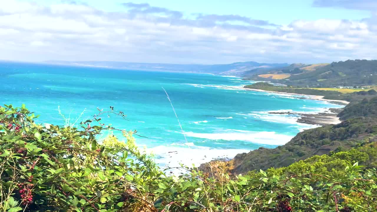 Vibrant coastal landscape with lush greenery and turquoise waters under a bright sky in Torquay, Victoria