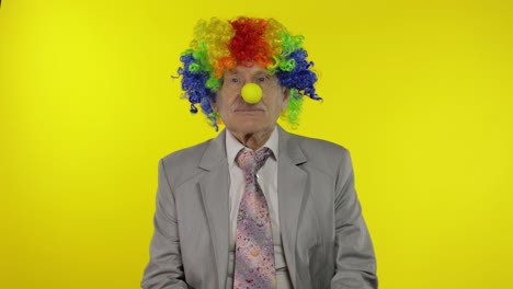 Senior-elderly-clown-businessman-entrepreneur-boss-in-wig-adjusts-yellow-nose