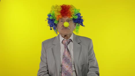 anciano payaso hombre de negocios empresario jefe en peluca ajusta la nariz amarilla