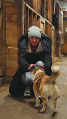 domestic dog comes to woman sitting on floor and stretching hands. caring female tourist strokes fluffy animal while spending time in stable