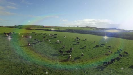 video of rainbow fog over view of a pasture with cows