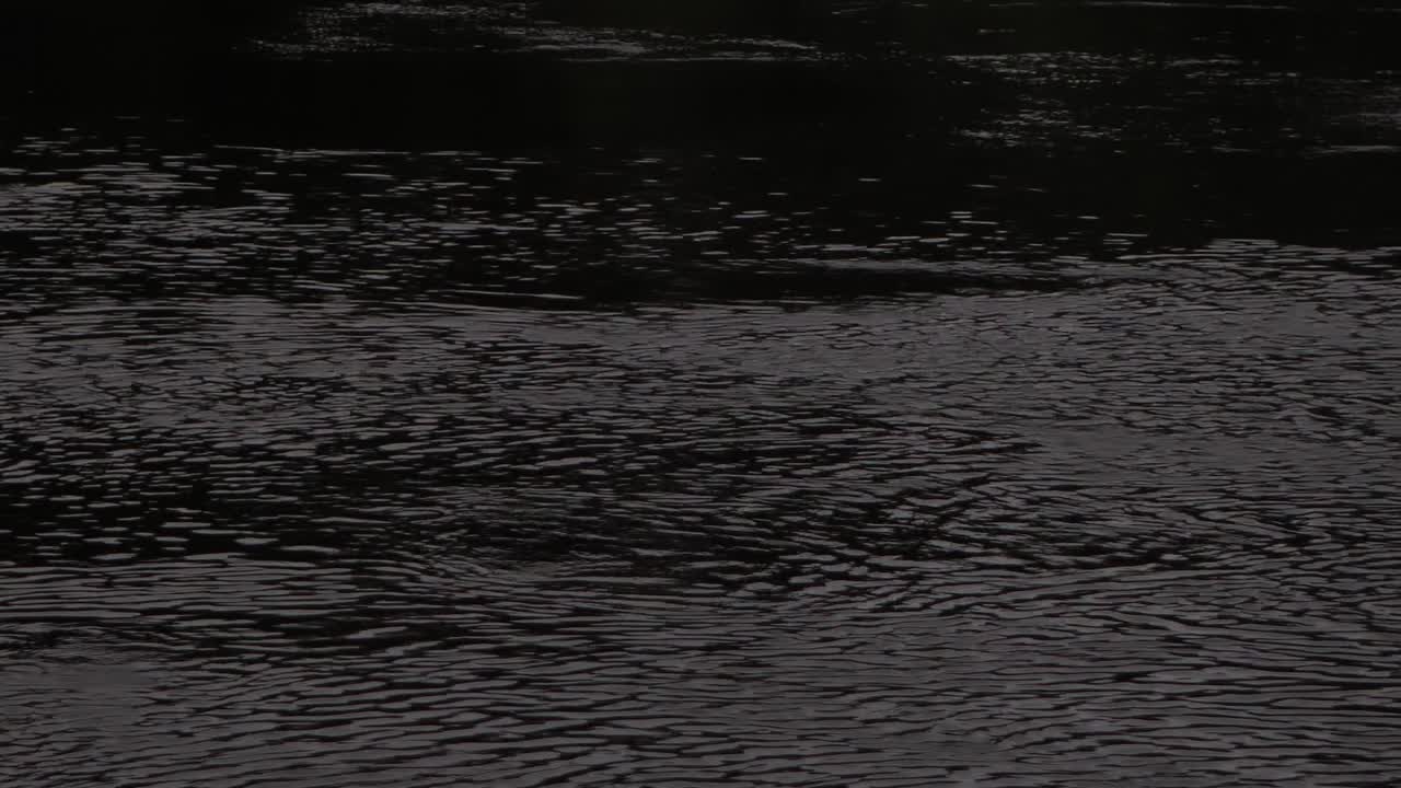 Dark waters of the river