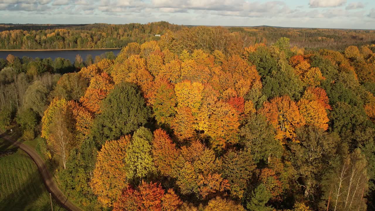 Aerial view of a lake surrounded by a colorful autumn forest, with golden, orange, and green trees glowing under a bright blue sky with scattered clouds