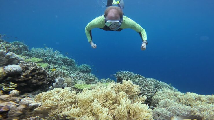 Nuotando sopra una colorata barriera corallina, uno snorkelista allunga le braccia, immerso nella bellezza marina