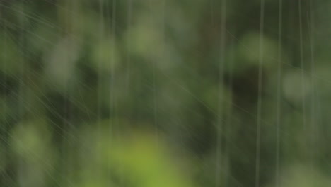 rain pouring on green nature background