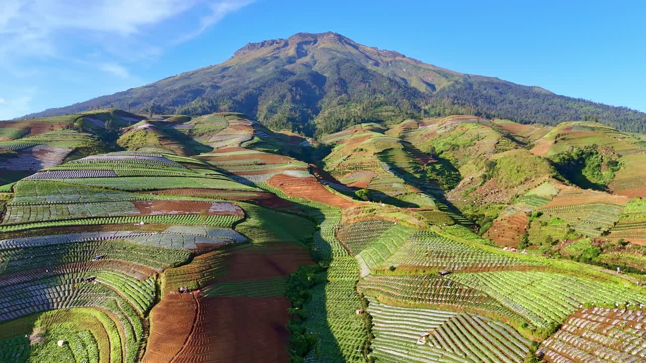 Aerial drone scenery of the mountain with lush green plantation on the slope, expansive vegetable and tobacco farm fields showcasing the rich greenery. Mount Sumbing, Indonesia.