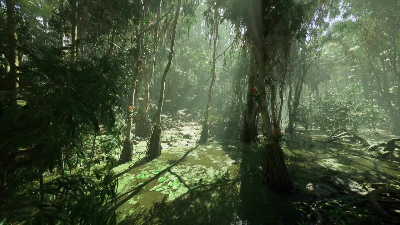 El sol matutino penetra la niebla y refresca el exuberante paisaje verde