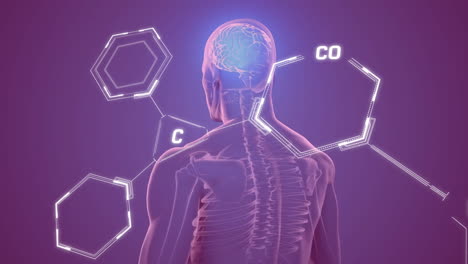 animación de la fórmula química sobre el modelo humano digital en fondo púrpura
