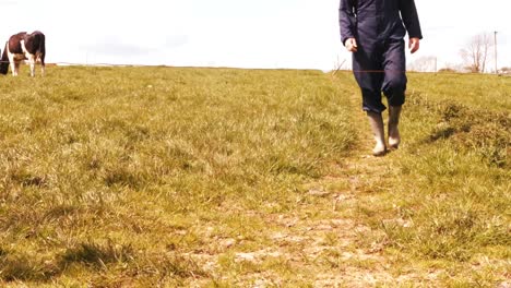 un ganadero caminando por el campo