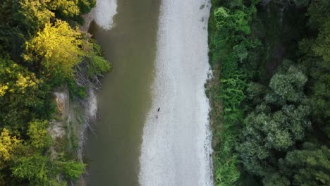 hombre paseando a su perro en un arroyo seco