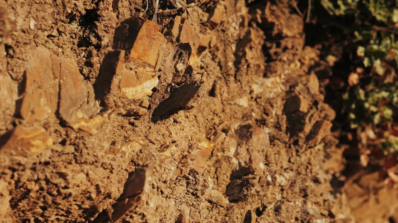 Primo piano di terreno roccioso