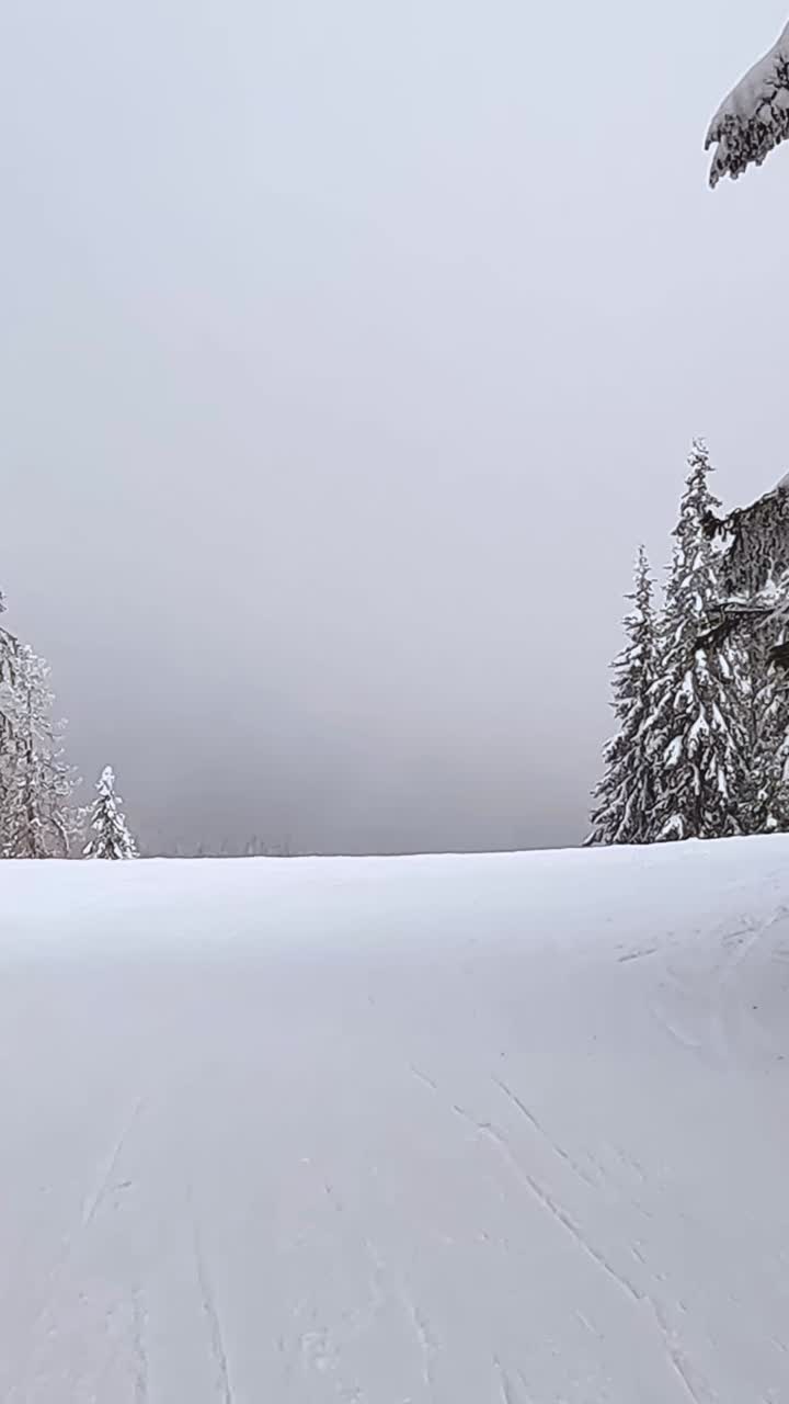 Vertical Video Of Ski Run Between Snow Covered Trees