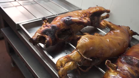 Freshly-Roasted-pigs,-resting-at-kitchen-stand---B-roll---orbit-push-in-slow-motion