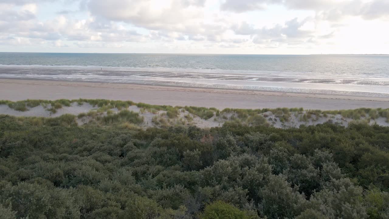 Early morning drone footage of green, overgrown dunes at the south west coast of the Netherlands