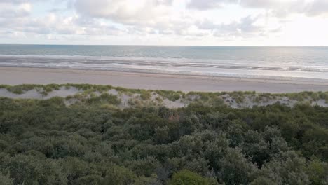 Drohnenaufnahmen-Am-Frühen-Morgen-Von-Grünen,-überwucherten-Dünen-An-Der-Südwestküste-Der-Niederlande