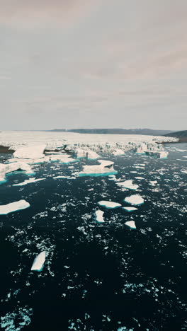 vista aérea de icebergs flotando en el océano