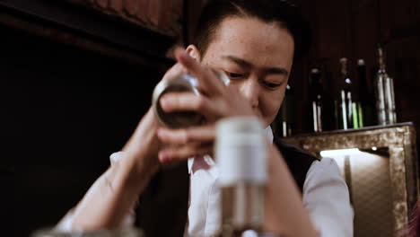 bartender using cocktail shaker