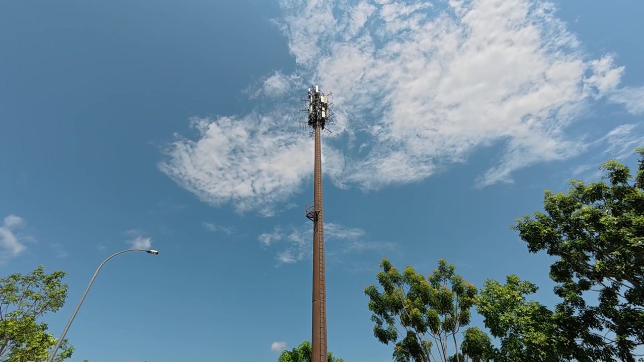 Un'alta antenna per telefonia mobile è camuffata in modo unico da albero. Le sue foglie artificiali la aiutano a integrarsi perfettamente nella natura circostante. Questo design innovativo preserva il bellissimo paesaggio verde