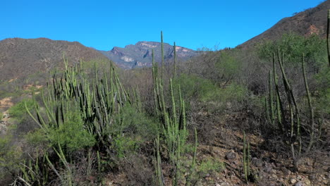 メキシコの乾燥した山の風景、ゆっくりと上昇する空撮