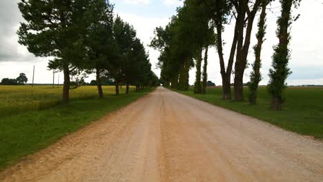 Drone-shot-of-a-gravel-road-with-trees-on-side-of-the-road-in-a-farmland-in-Europe-on-summer-day