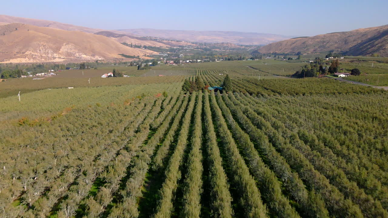 vista aérea en el huerto cerca de la capital mundial de la manzana wenatchee, estados unidos