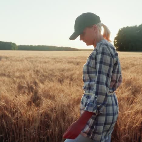 woman farmer walks through the boundless field of yellow wheat