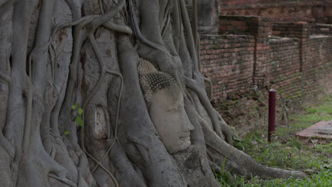 Cabeza-De-Buda-En-Las-Raíces-De-Los-árboles-En-El-Templo-Wat-Mahathat-En-Ayutthaya,-Tailandia