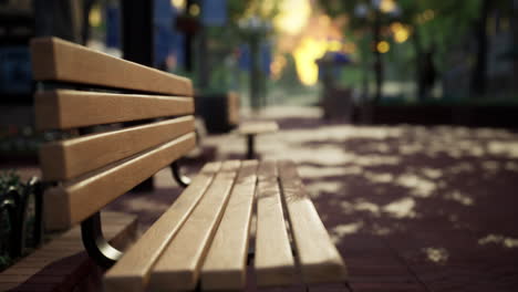 quiet-city-park-with-trees-and-benches