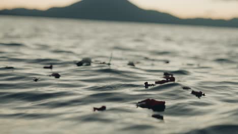 dreamy cinematic scenery, flowers floating on sea water surface at twilight with distant island hill in background