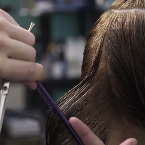 cutting hair at salon