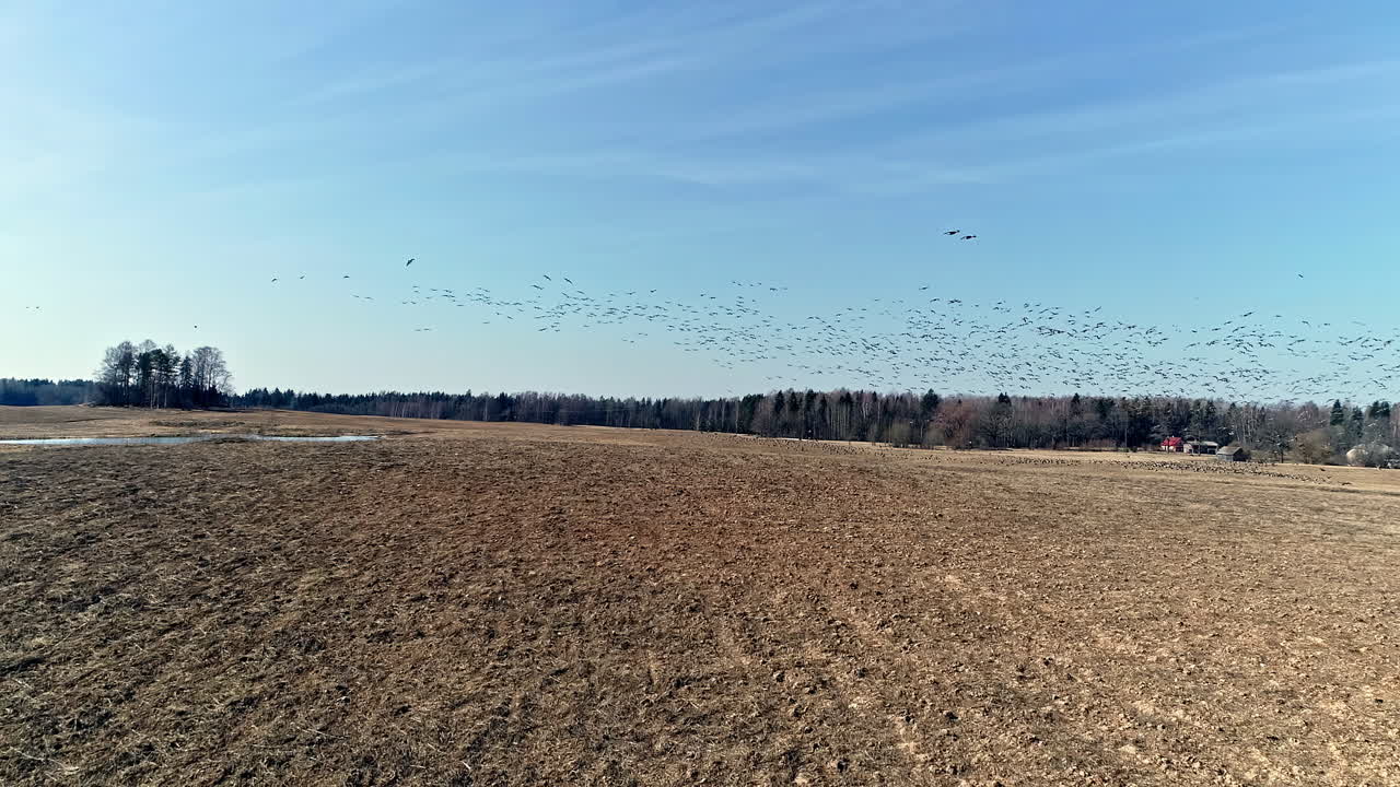 큰 공중 드론 앞으로 움직이는 샷
