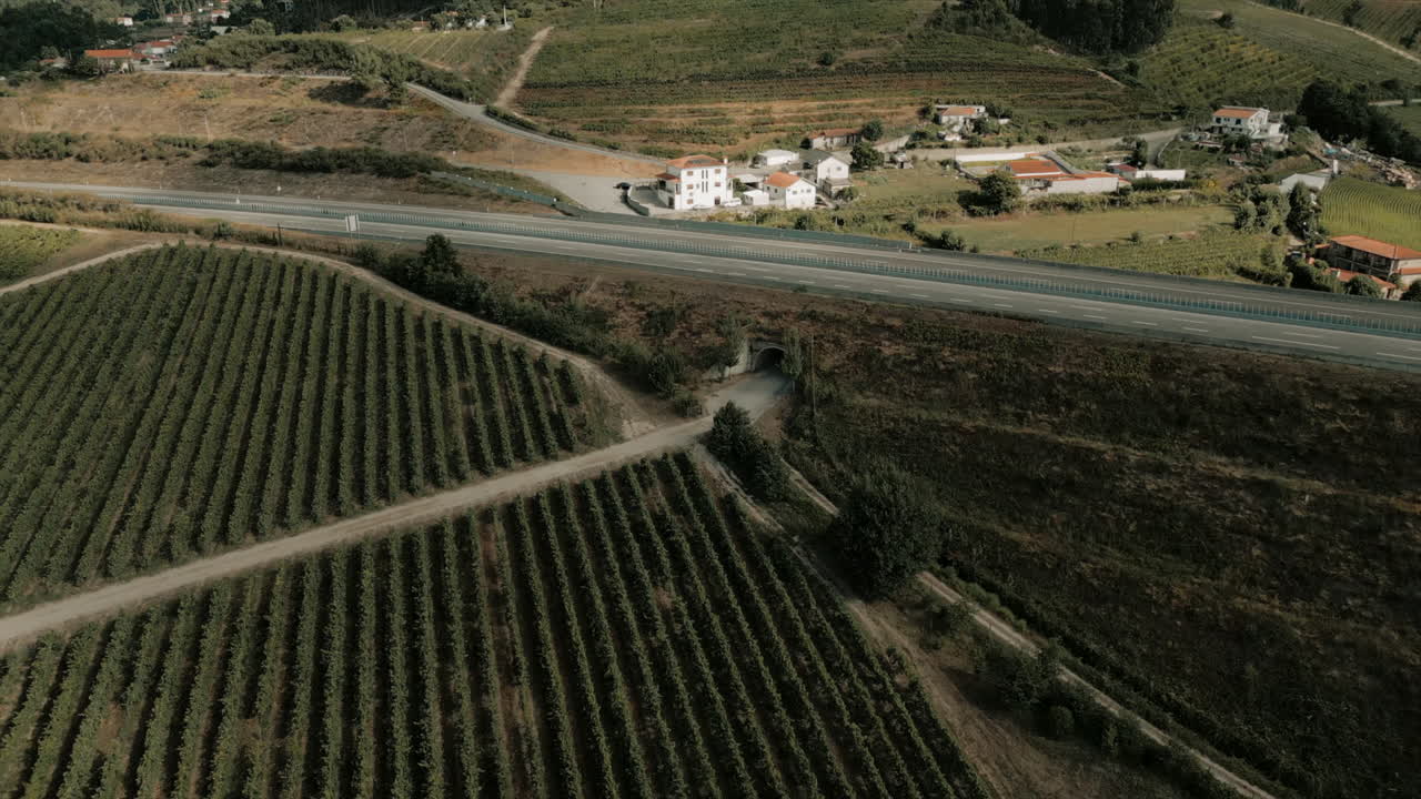Vista aerea di vigneti vicino a una strada