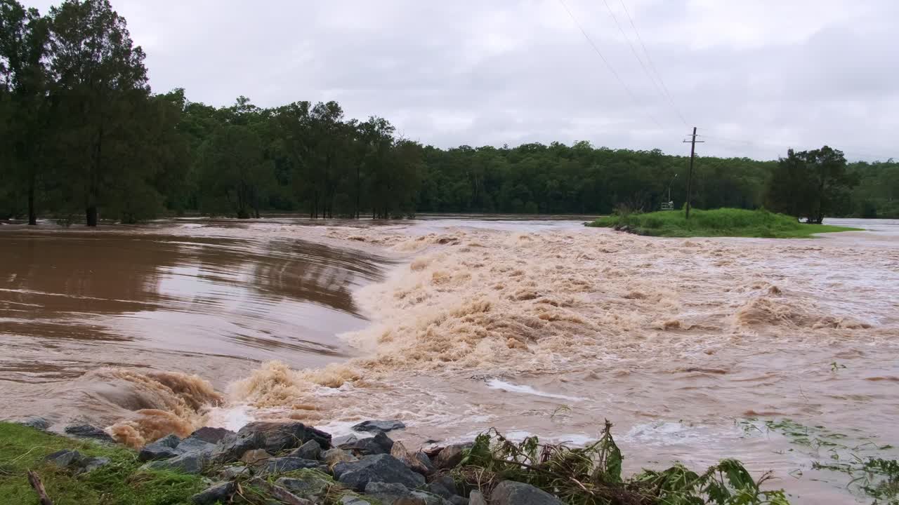 Close-up shot of floodwater rapidly flowing past green grass and trees on the Gold Coast in Queensland, Australia. A vivid view of the river’s power during extreme weather.