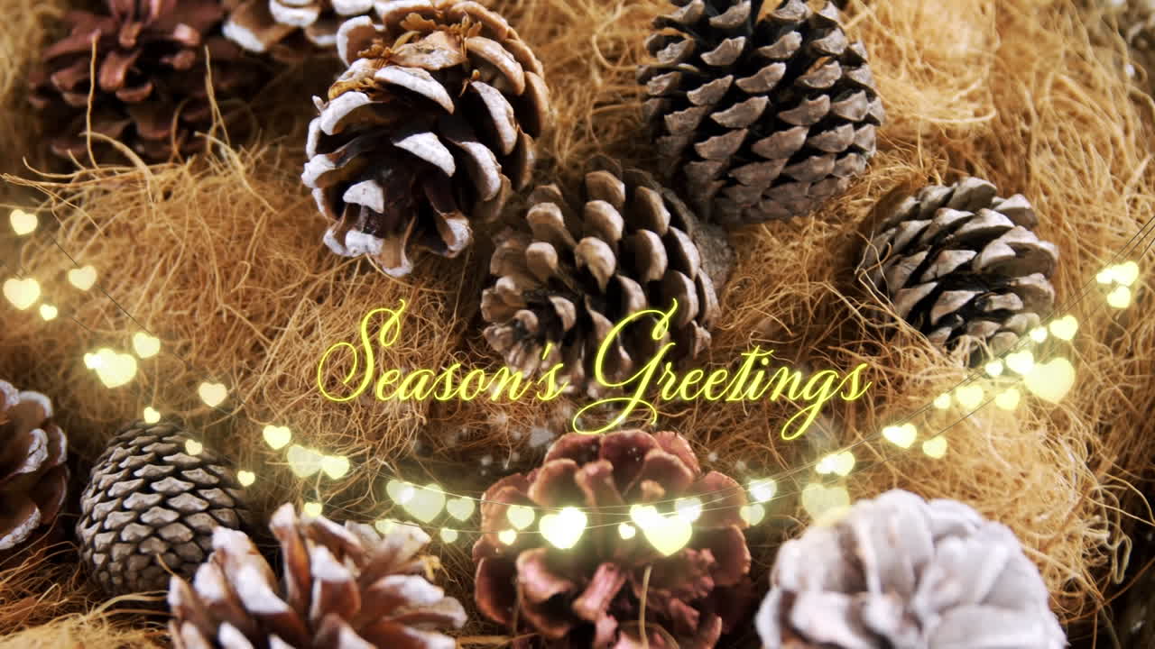 Animation of fairy lights over christmas greetings text and decorations