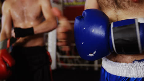 boxeadores con guantes de boxeo en el estudio de fitness