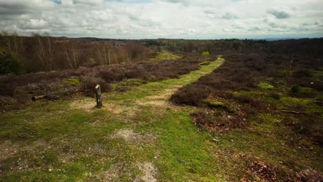 Auf-Einer-Sanddüne-Im-Berühmten-Niederländischen-Heidepark-Veluwe-Pov