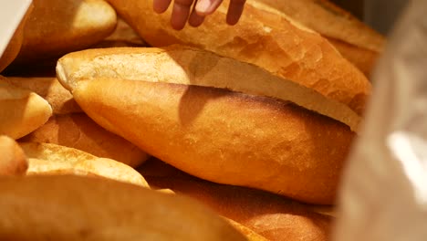 fresh baguettes at a bakery